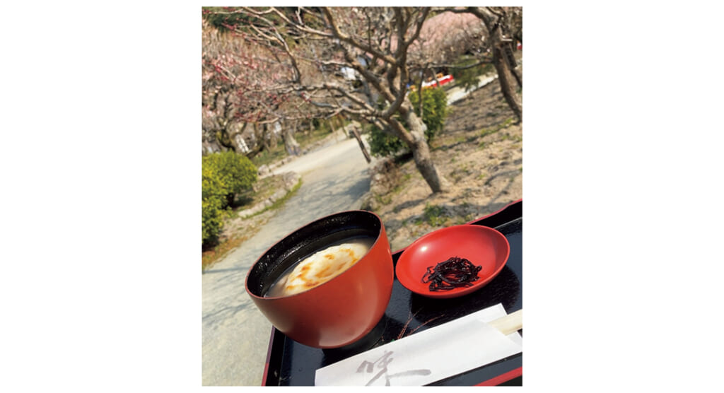 和菓子をお供にゆったりお花見（つむさん・大学3年）