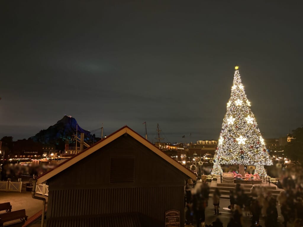クリスマスツリーをS.S.コロンビア号の中から撮った写真