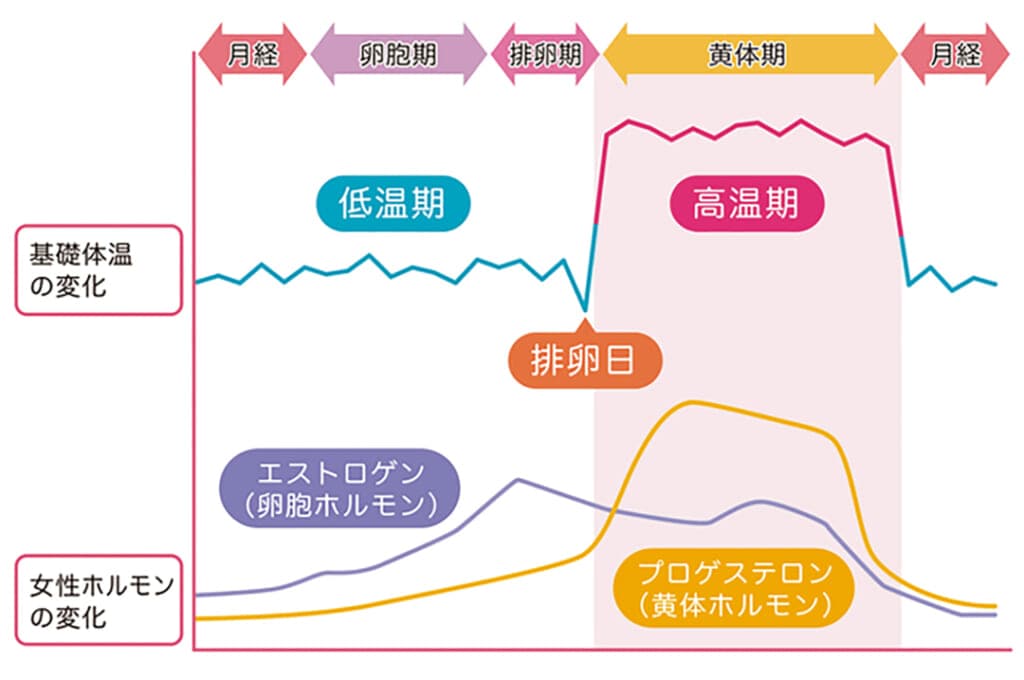 生理のギモングラフ
基礎体温と女性ホルモンの変化