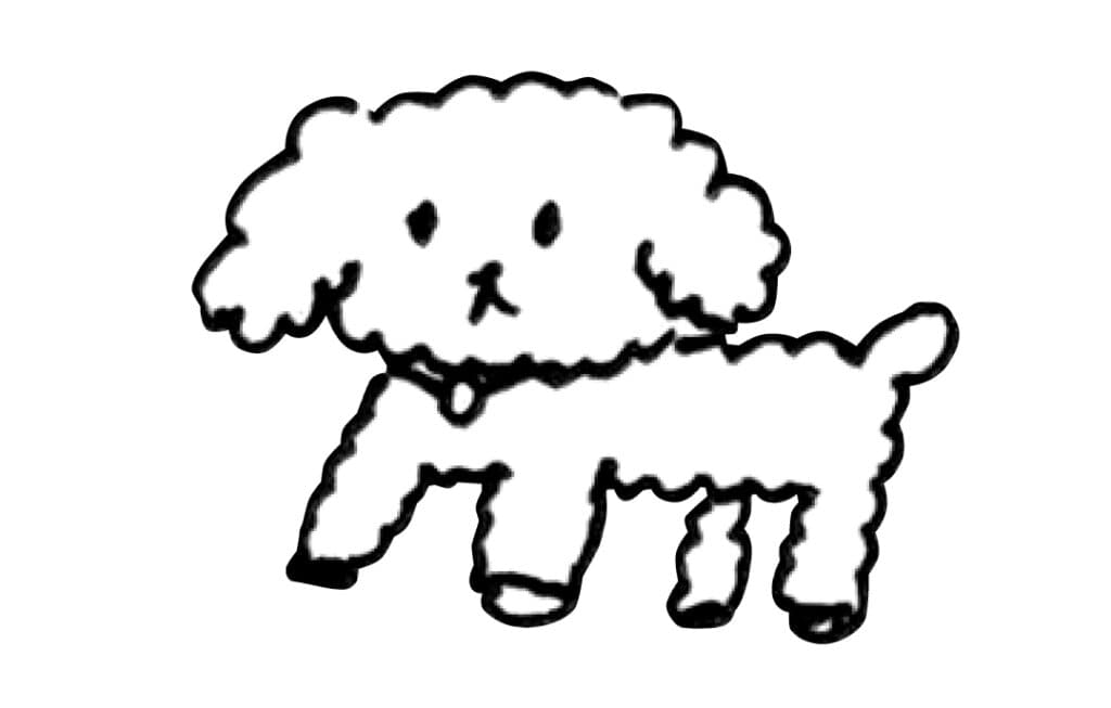 紺野彩夏の生まれ変わるなら何になりたい？わんこ！