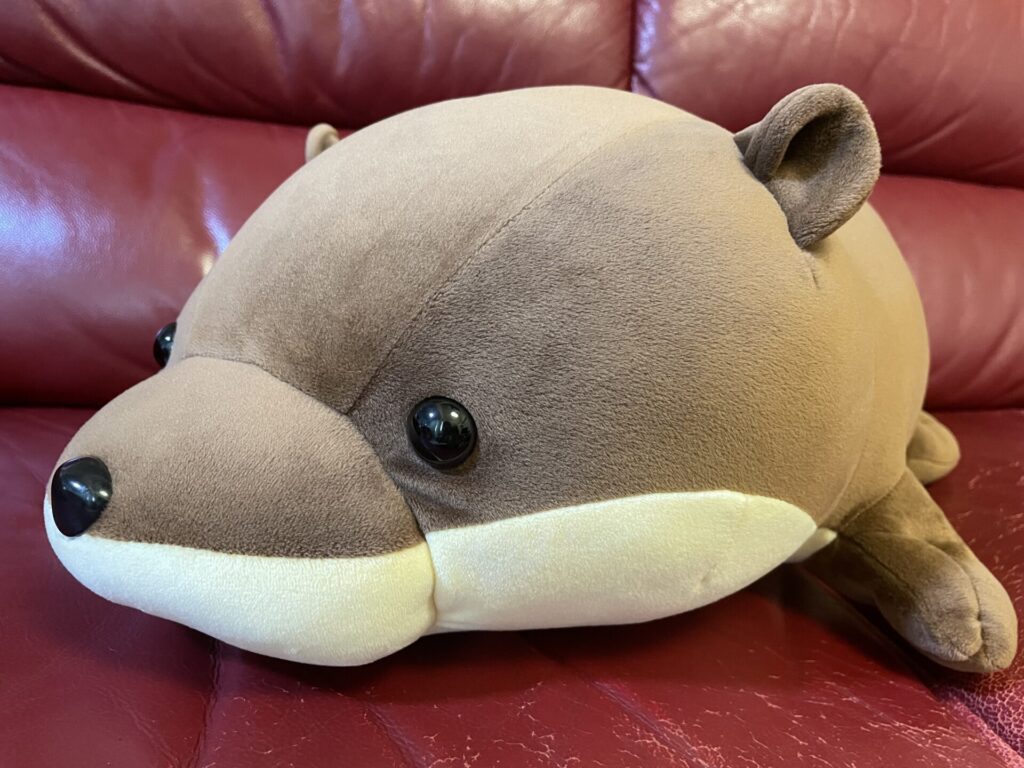 八景島シーパラダイス限定のくじ引きで当たったカワウソ2等のぬいぐるみを、右斜め前から撮影した画像です。