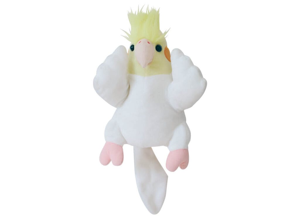 中川智尋特集アイテムカット4-2