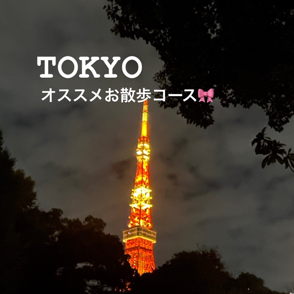 【東京】おすすめ散歩コースを紹介！