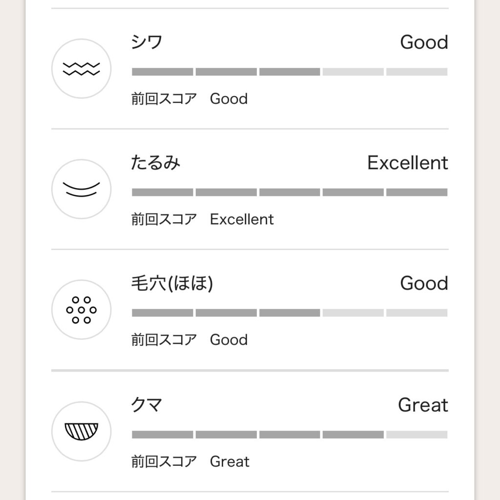 オルビス　肌診断　結果②
