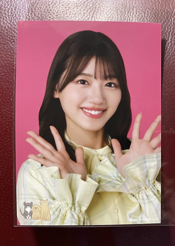 黄色のチェック柄の衣装を着た佐々木美玲の生写真。濃いピンク色の背景。両手をパーにしたポーズ。