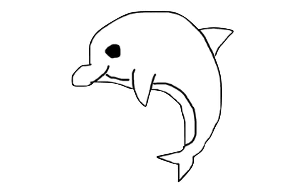 菊地姫奈の生まれ変わるなら何になりたい？イルカ