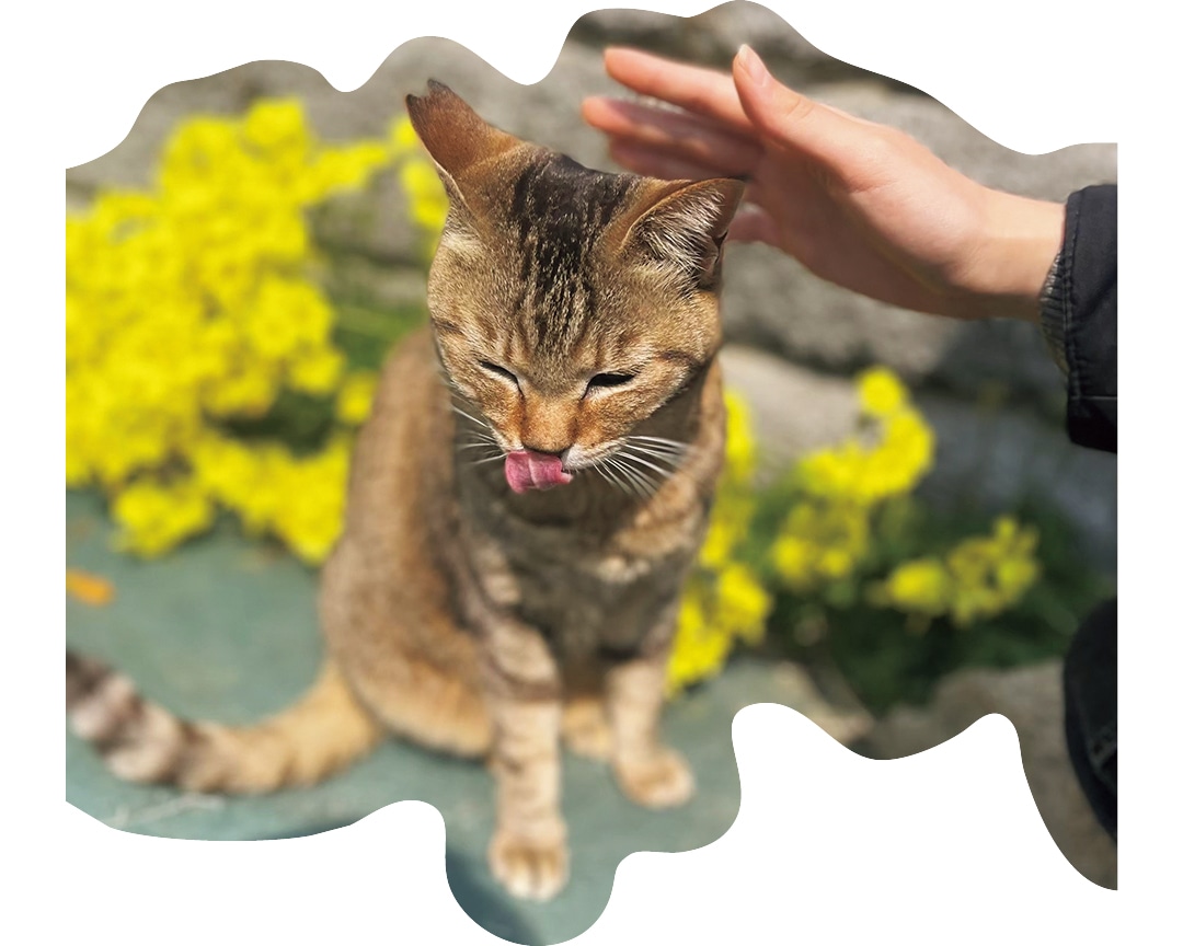 動物との触れ合いで疲れた心をほぐしたい（咲さん・大学1年）