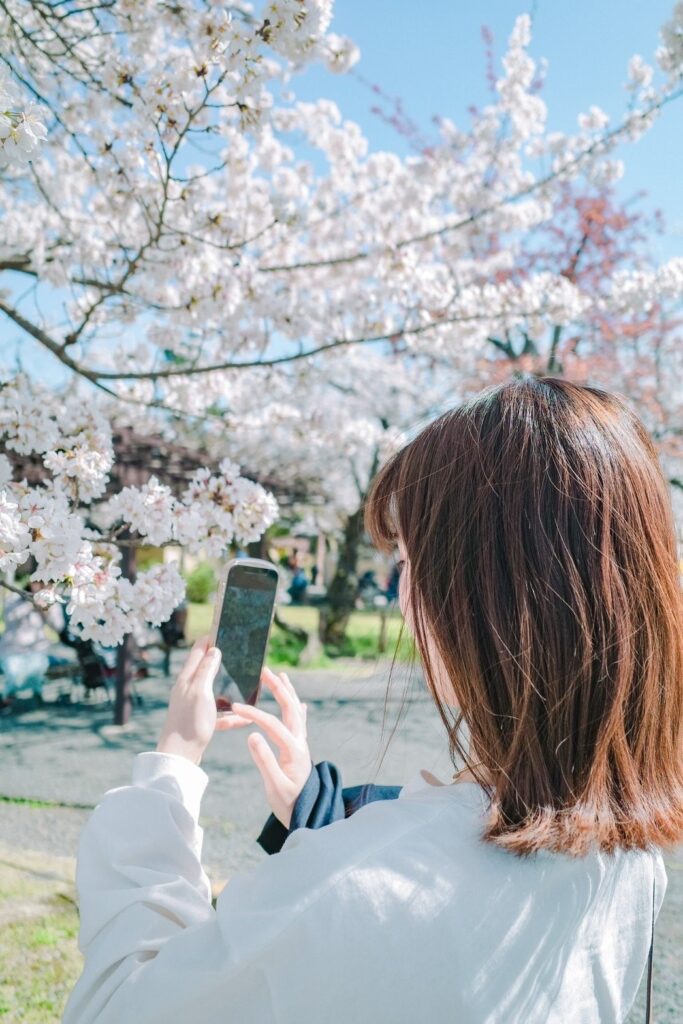 嵐山での満開の桜