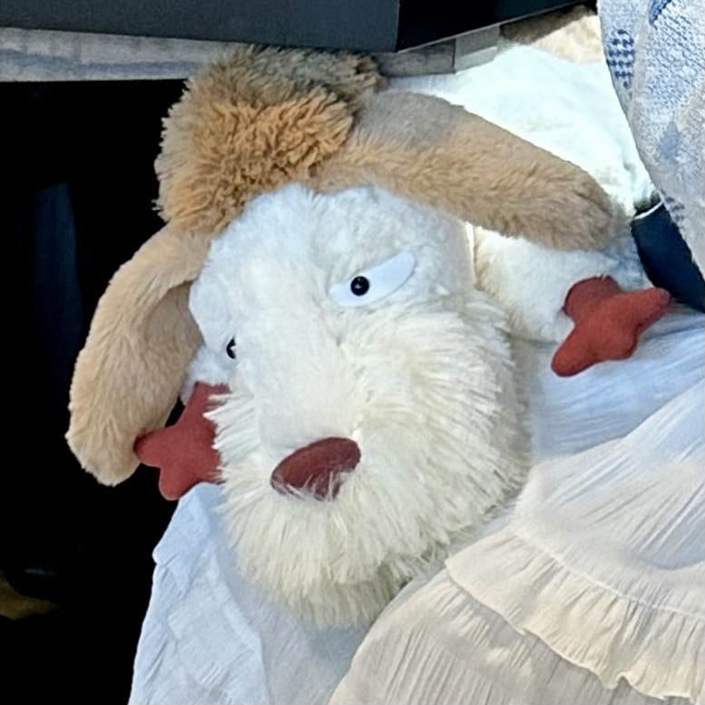 ジブリパーク「魔女の家」のショップ「13人の魔女団」で買えるおすすめオリジナルグッズやお土産:ヒンの実物大ぬいぐるみ