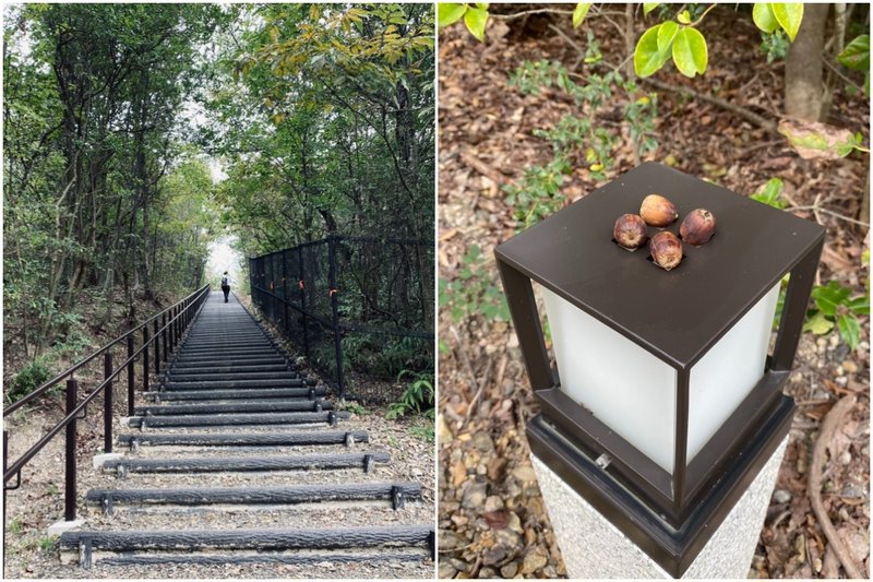 ジブリパーク・どんどこ森