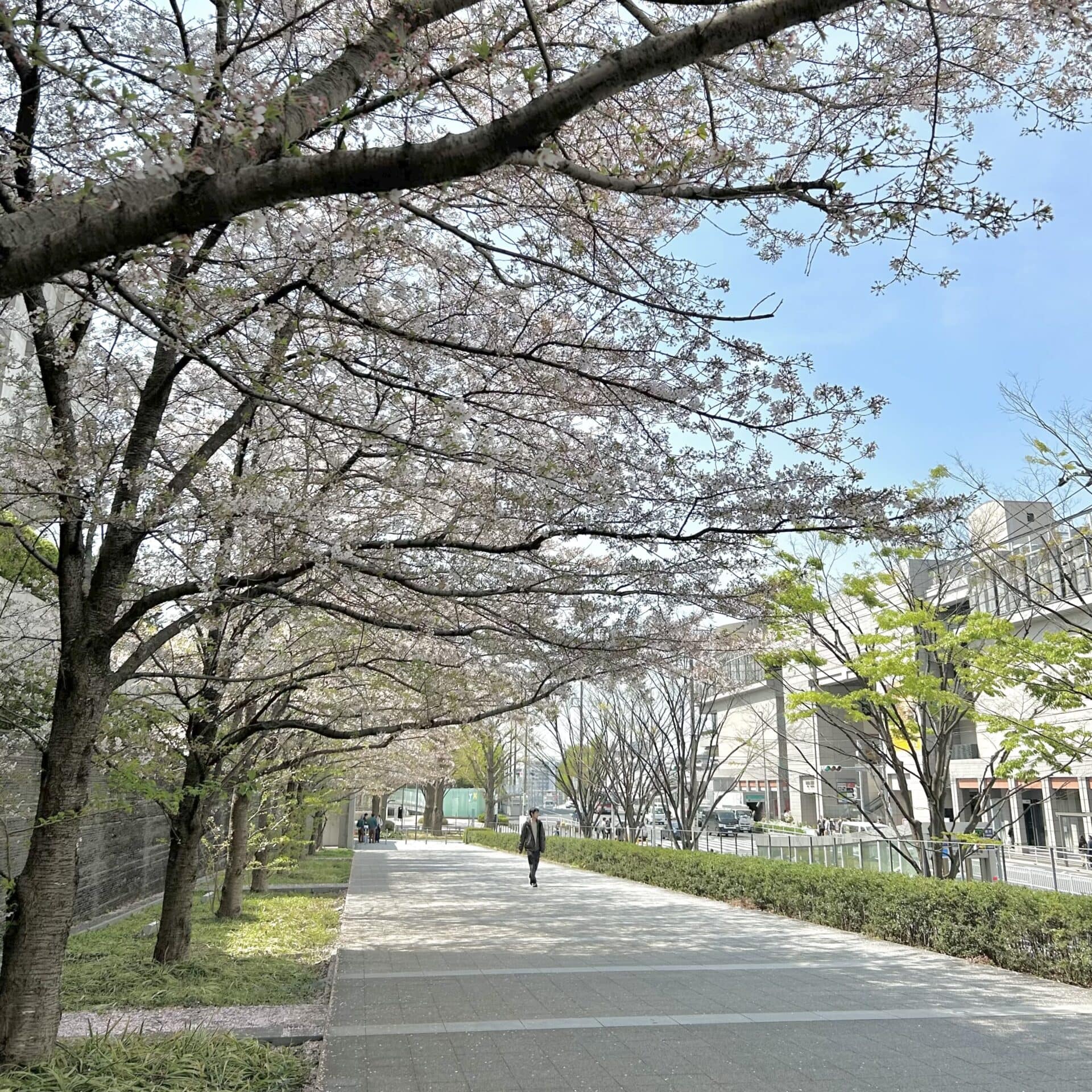 【春から大学生】1年生はこれしておけば順風満帆♡