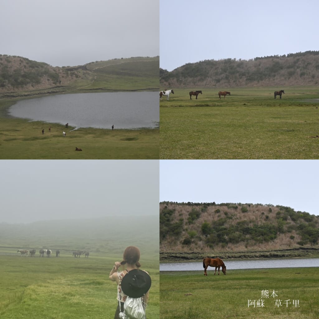 阿蘇草千里