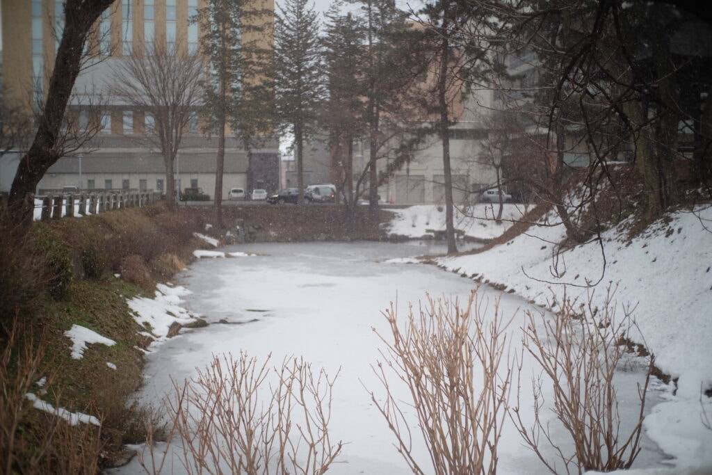 盛岡城跡公園の近く。雪が少しだけ降っていて幻想的でした。