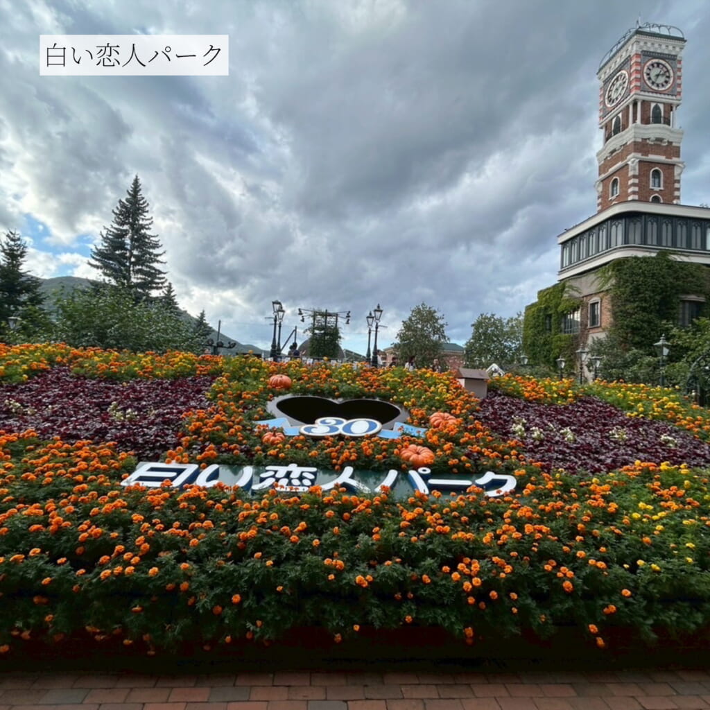 白い恋人パーク