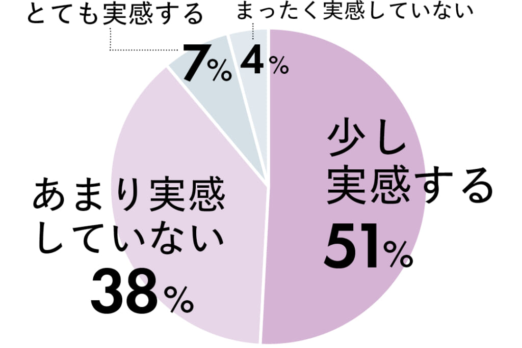 少し実感する 51%
あまり実感していない 38%
とても実感する 7%
まったく実感していない 4%