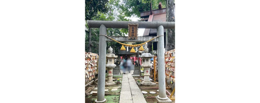 今夏にある気象予報士試験のために最終追い込み！（桜さん・大学2年）