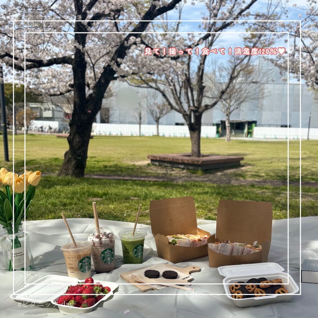 ピクニックの写真