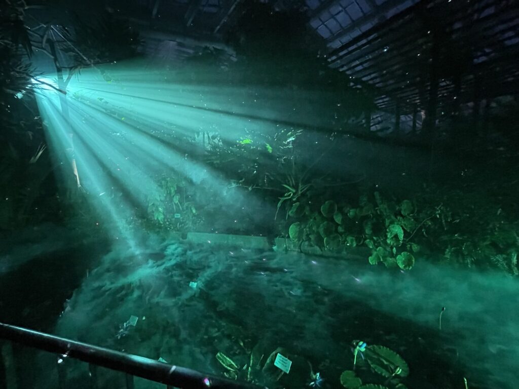 『LIGHT CYCLES』緑の光の景色