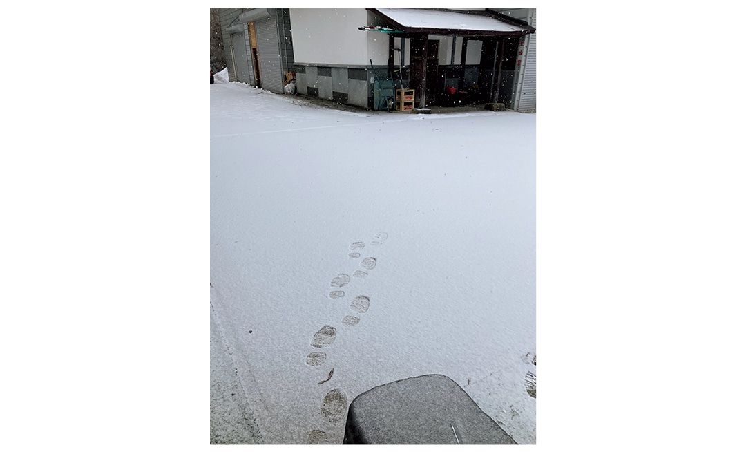 合宿では雪密室を再現しました！（くらげさん・大学3年）
