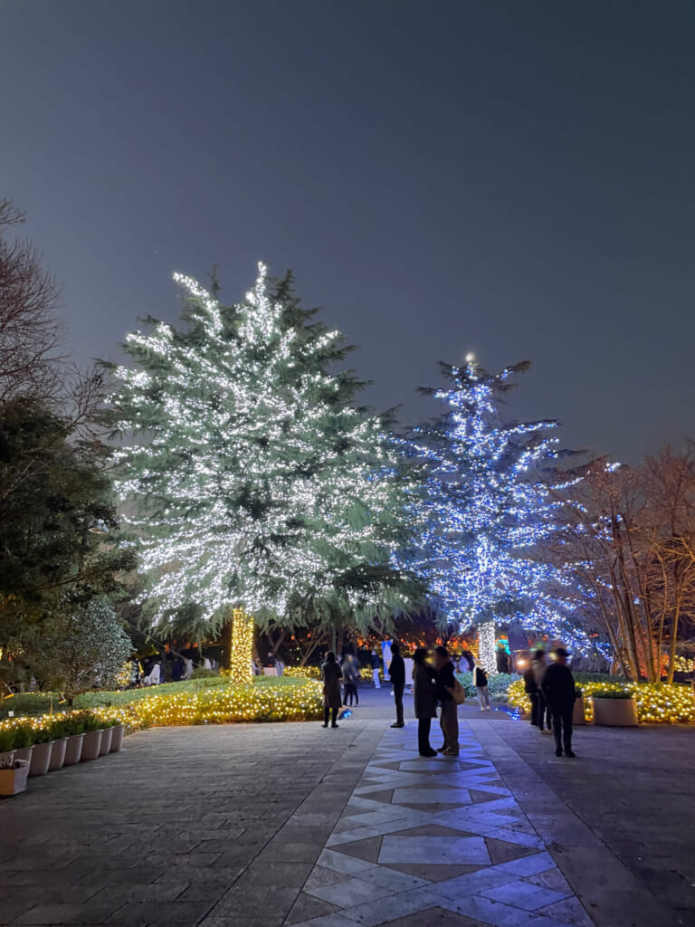 なばなの里　イルミネーション　ツインツリー