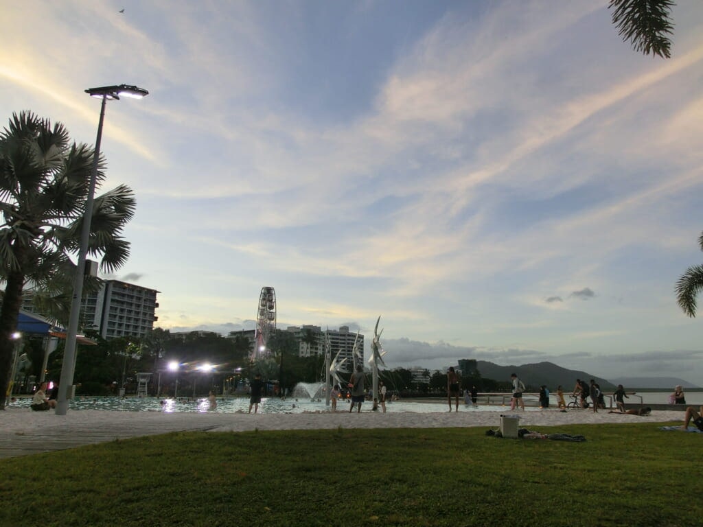 プールの周りにはヤシの木や芝生が広がっている。奥には観覧車も見える。