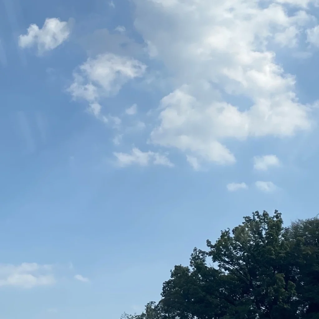 散歩中に見える空