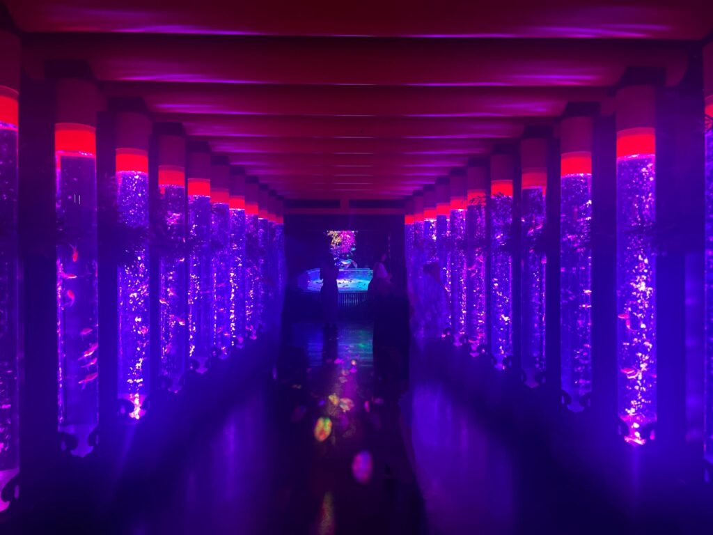 アートアクアリウムの縦長水槽