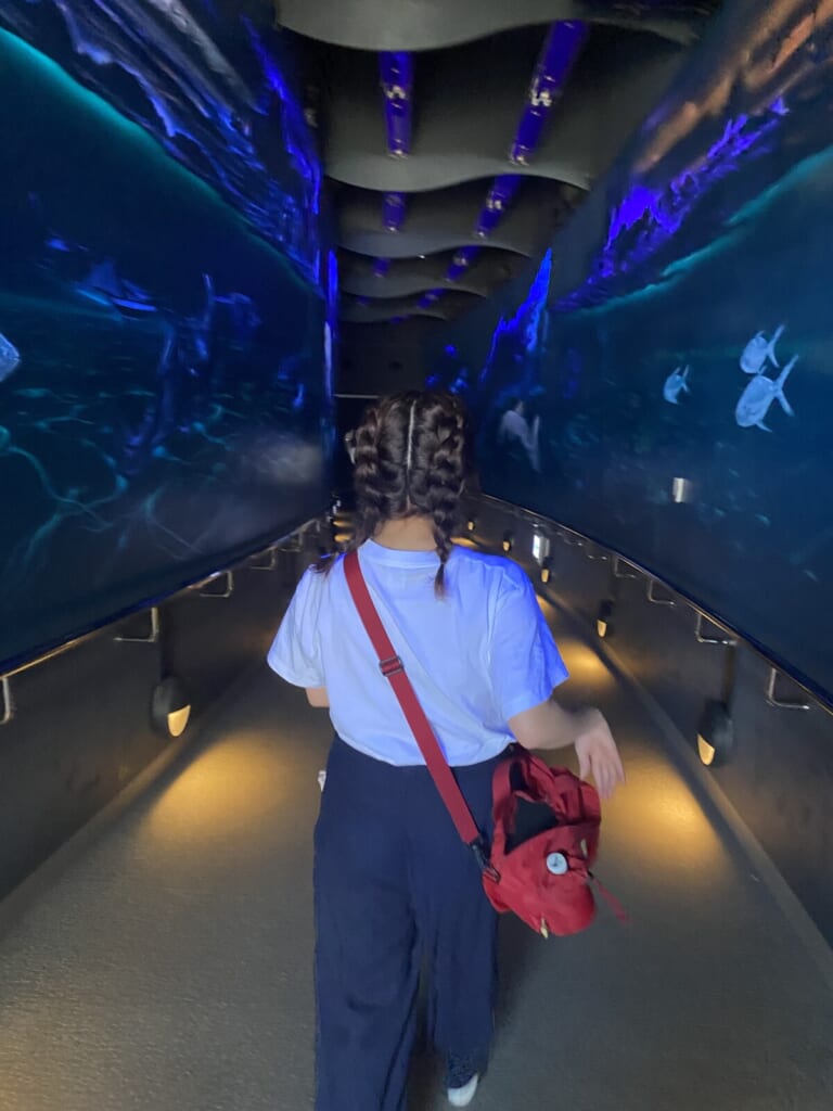 「ヘアアレンジ」「編み込みおさげ」