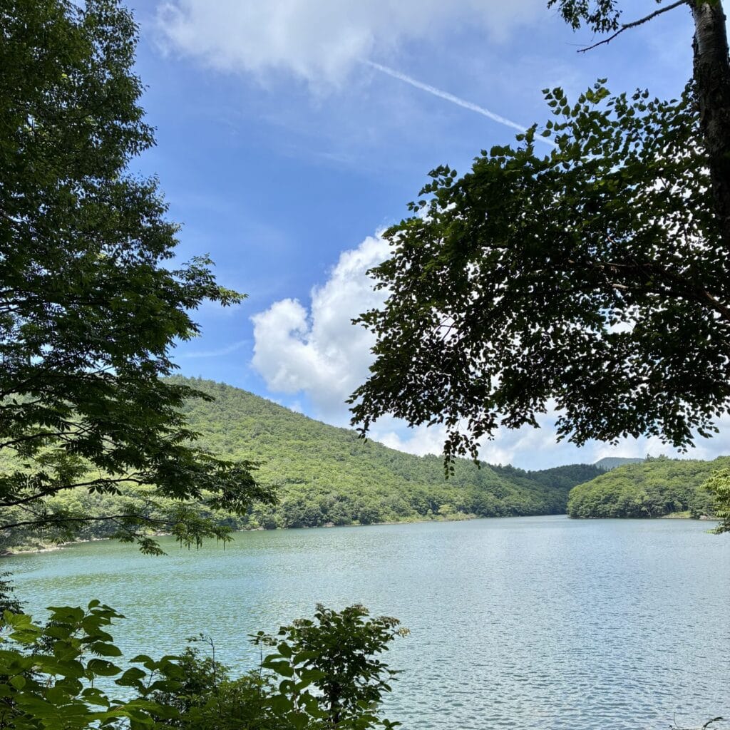 太陽の光で輝く池と木々と空