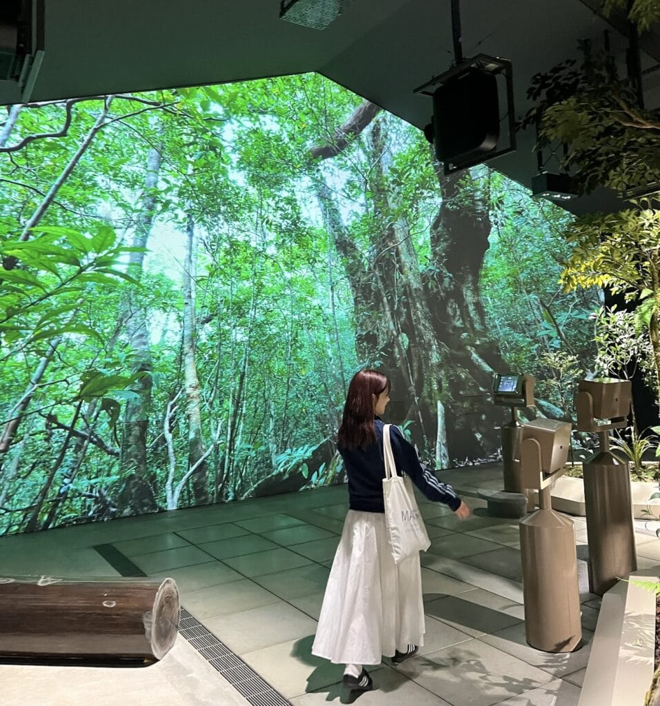 奄美大島世界遺産センター