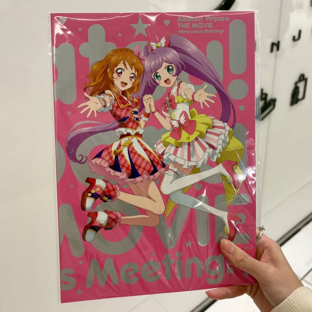 パンフレット豪華版