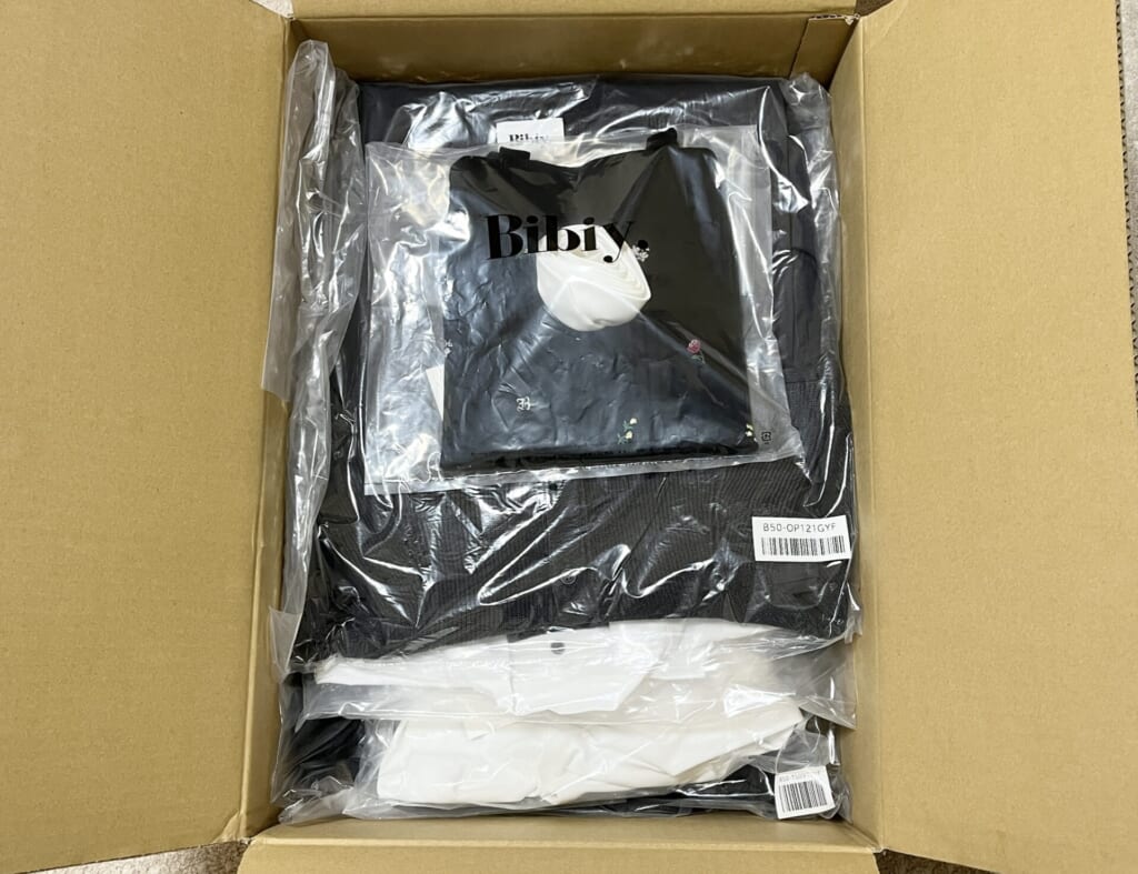 bibiy WINTER BOX 2025 中身