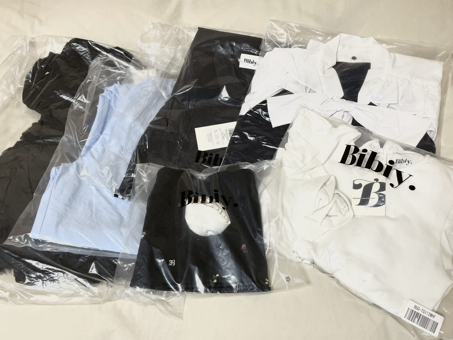 bibiy WINTER BOX 2025 封入アイテム全6種