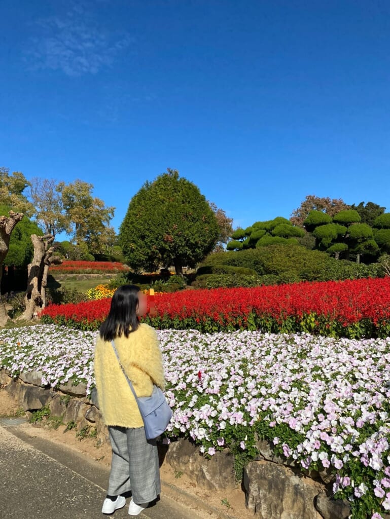 「mysty woman」「カラーシャギーカーディガン」「レモンイエロー」