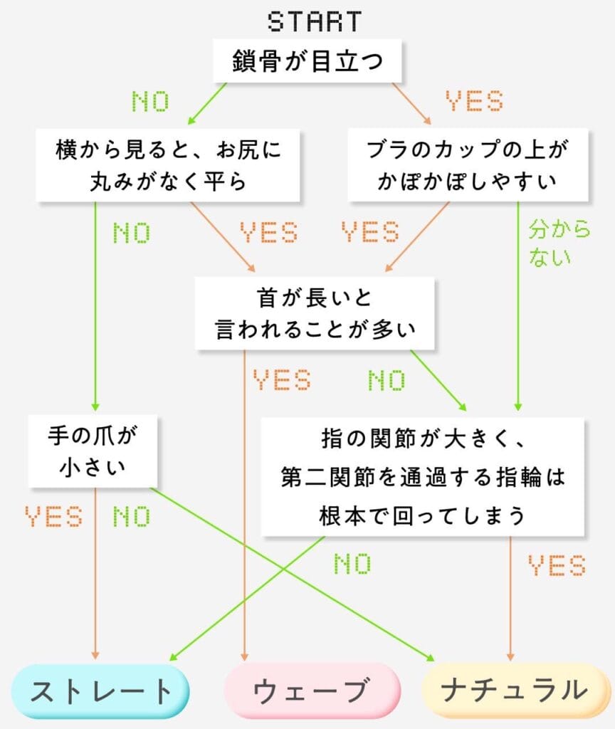 骨格タイプ診断用チャート