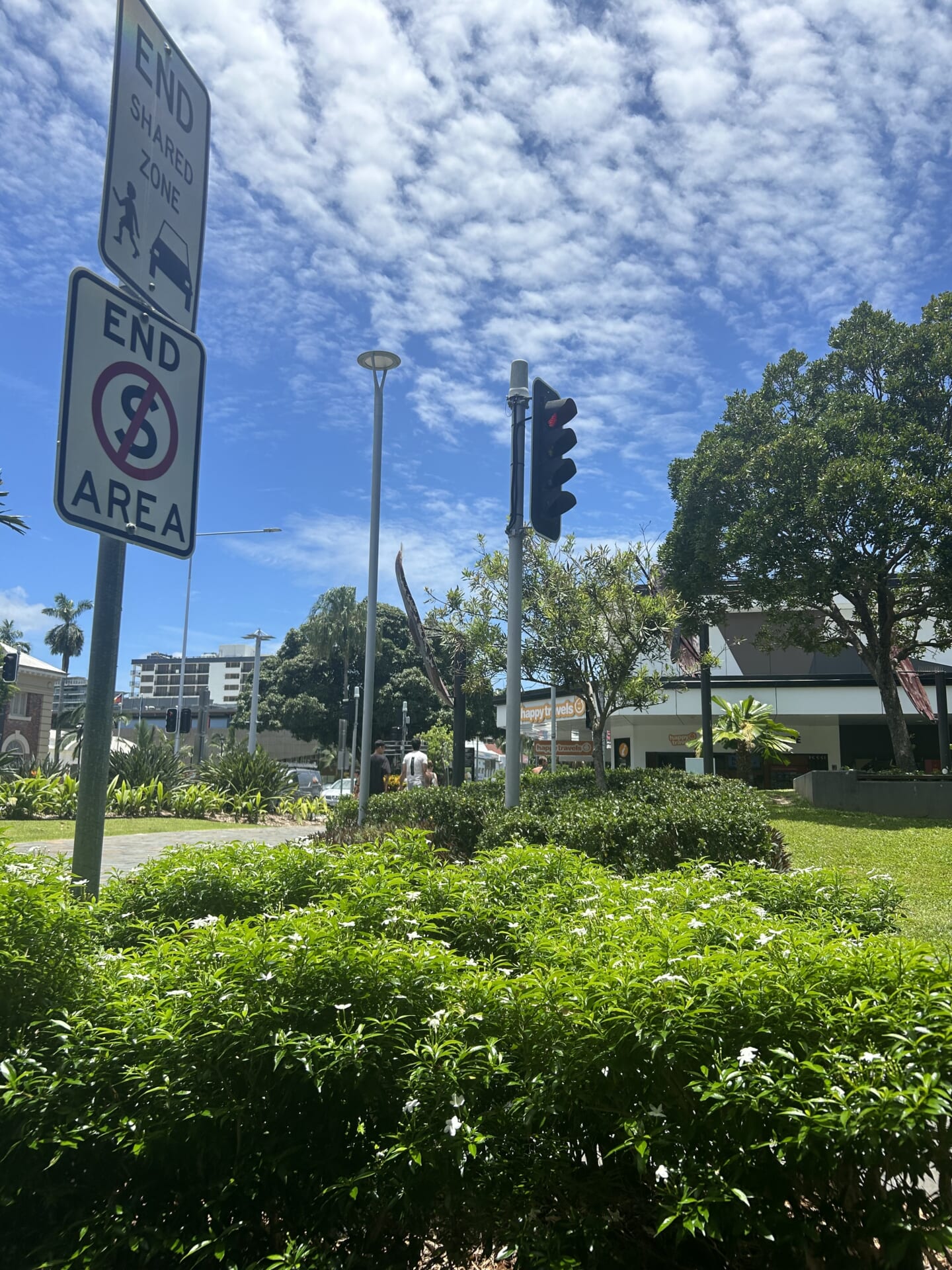 植物と道路がすぐそばにある。