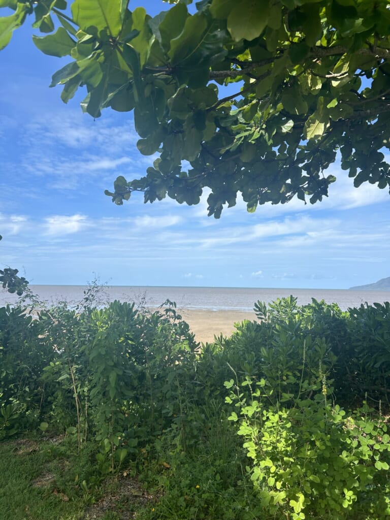 緑の草や木が生い茂っていて、その奥にビーチが広がっている。