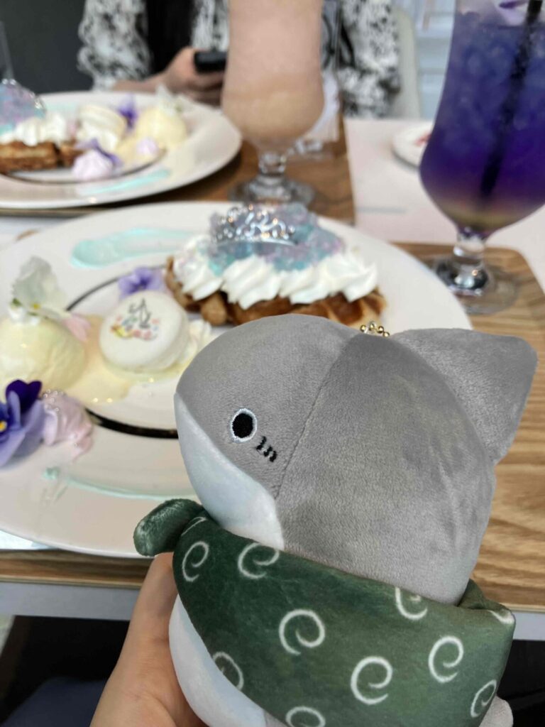 子ザメちゃんといっしょに