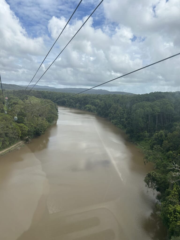 スカイレールから見える、広大な熱帯雨林とバロン川