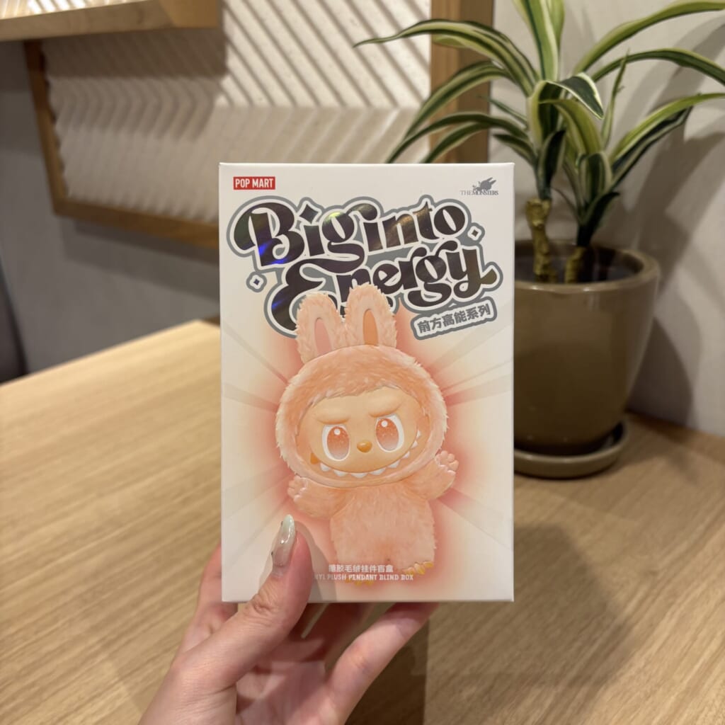 ラブブが入ったブラインドボックスの外箱