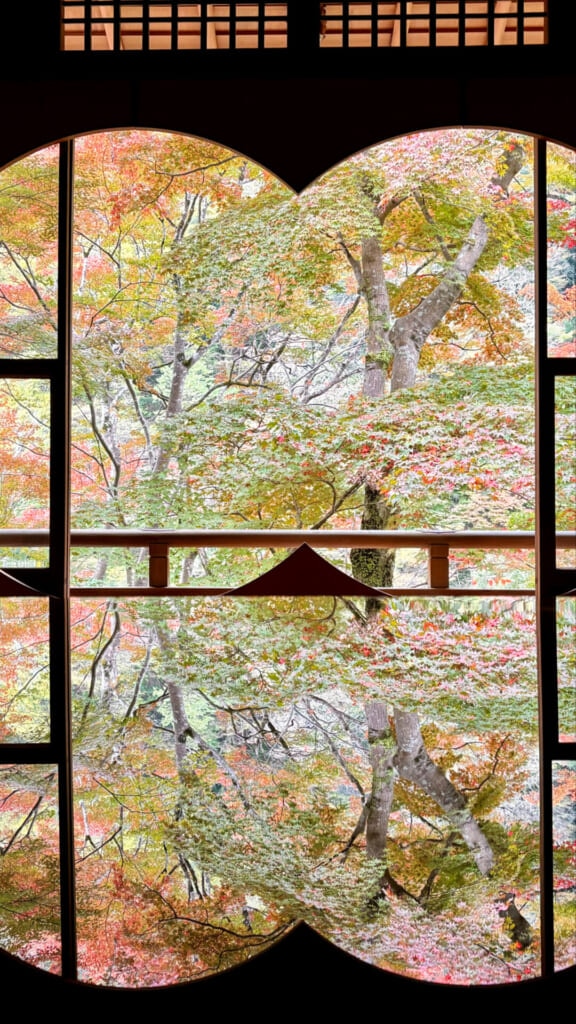 スマホのカメラ比率を16:9で撮った紅葉