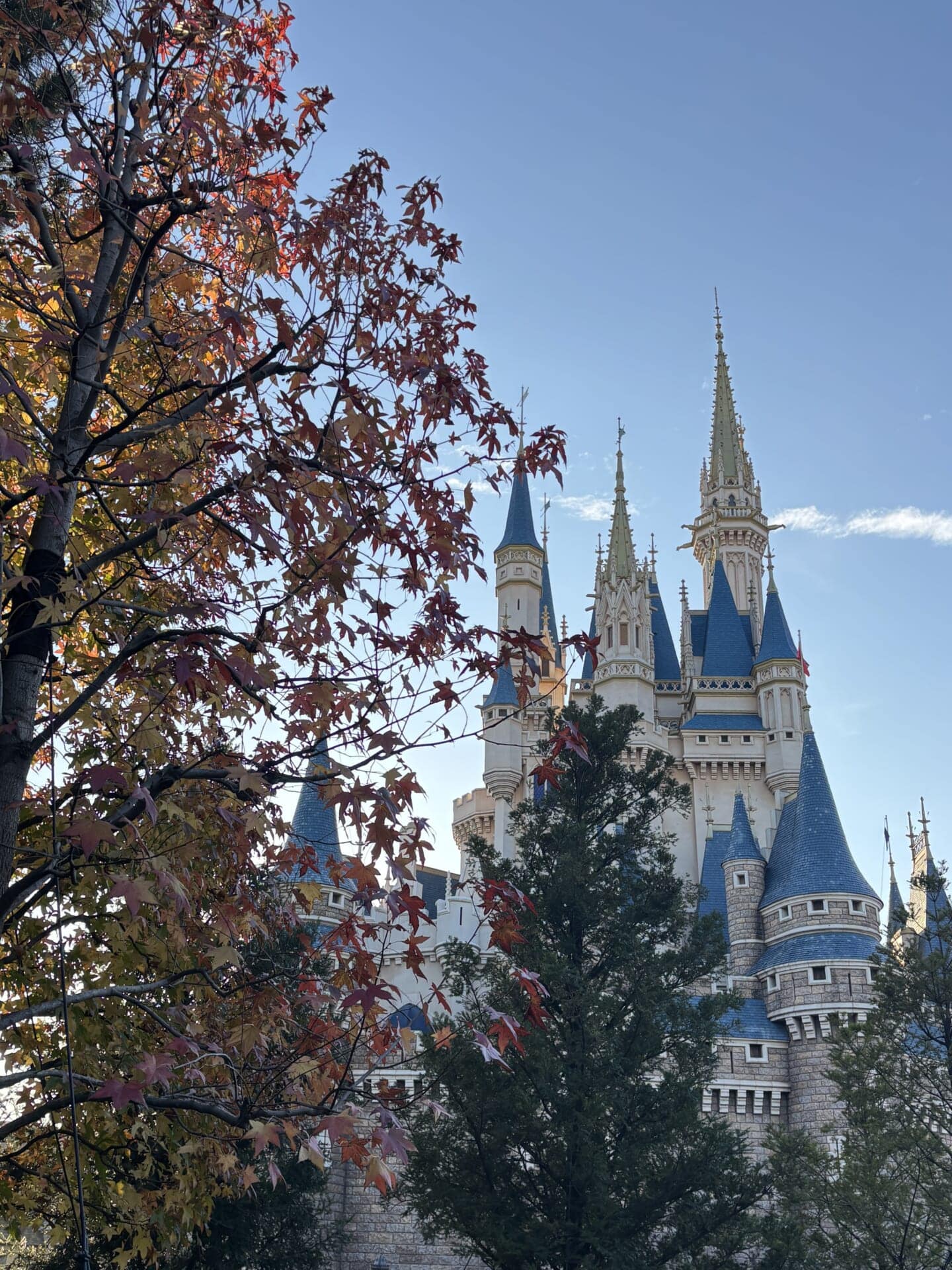 ディズニーランド