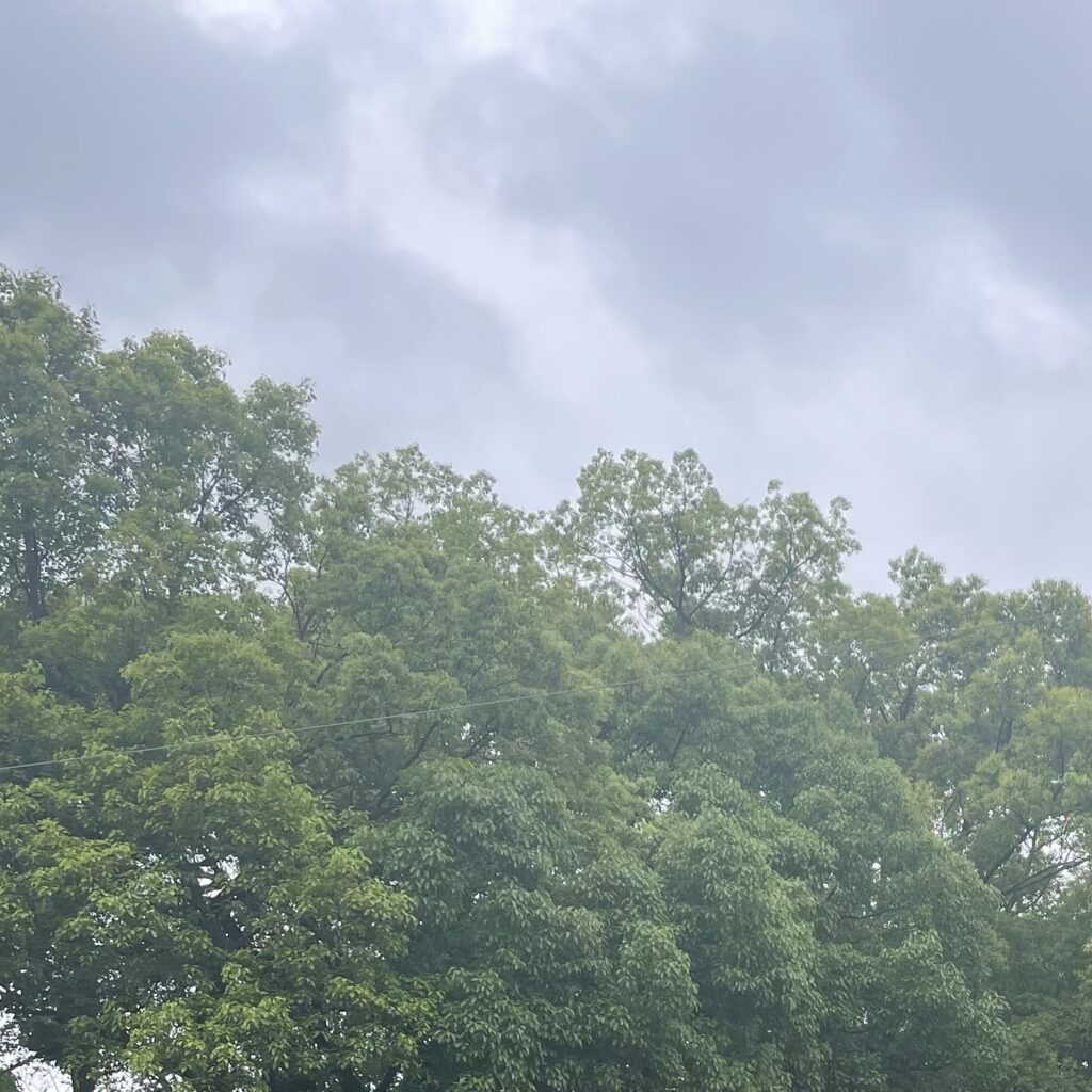 本日は、お日柄もよく　原田マハ