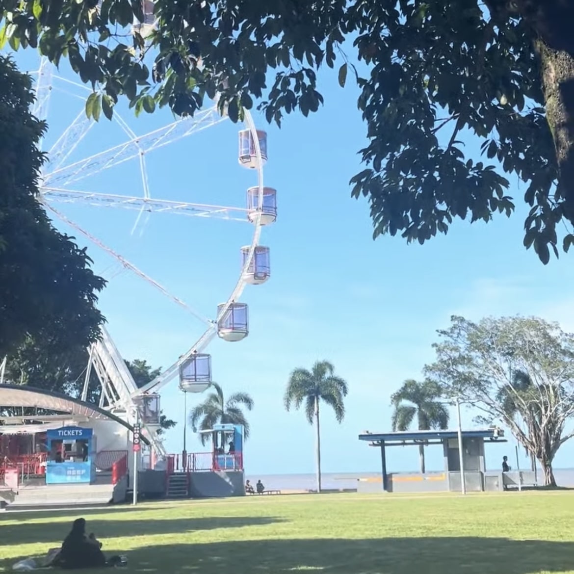 芝生の上に観覧車がある