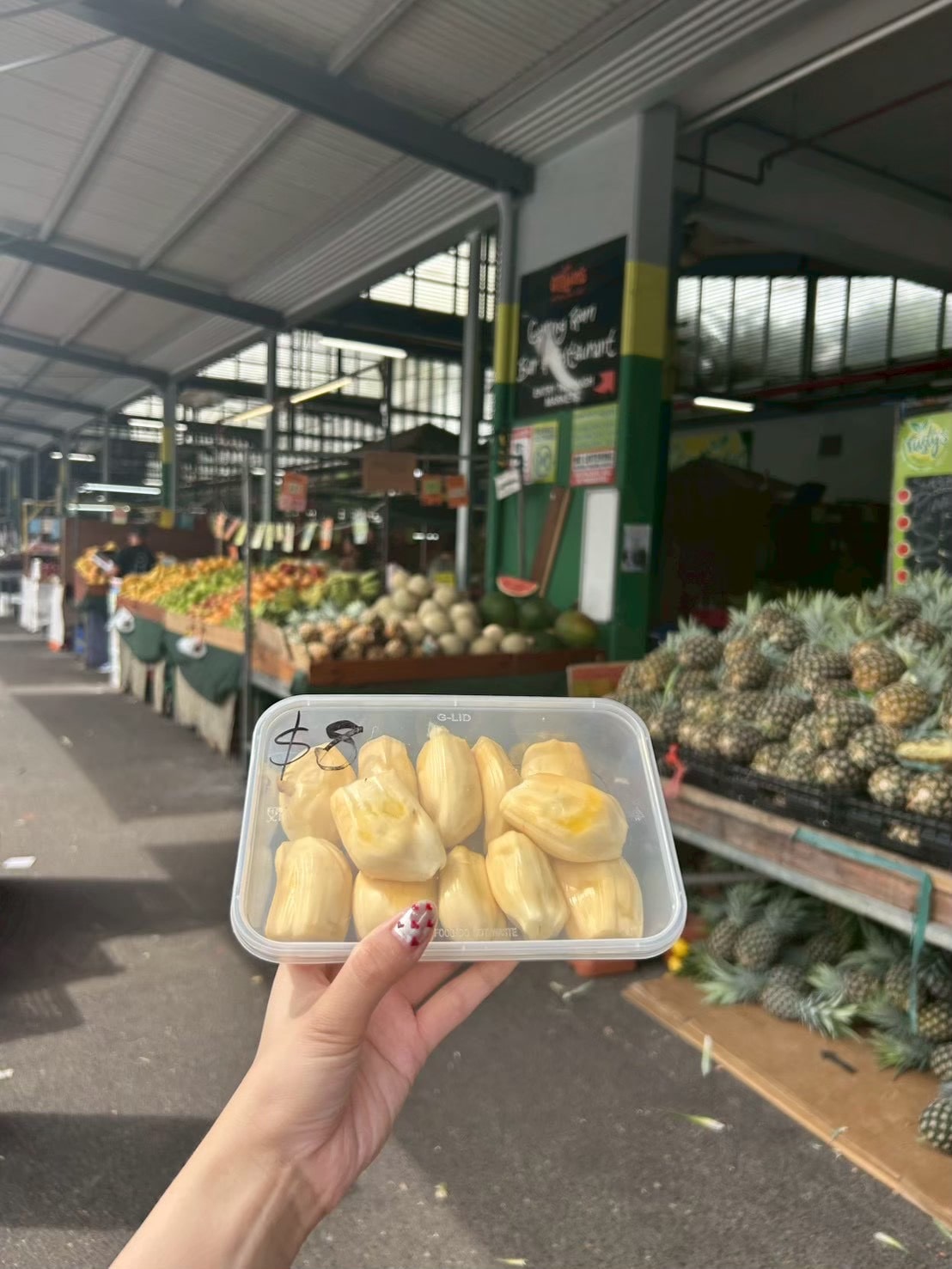 ジャックフルーツの写真