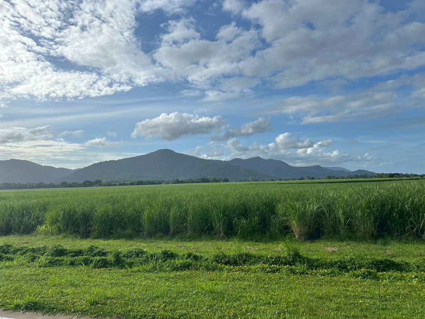 列車の中から見える写真。山が見える。