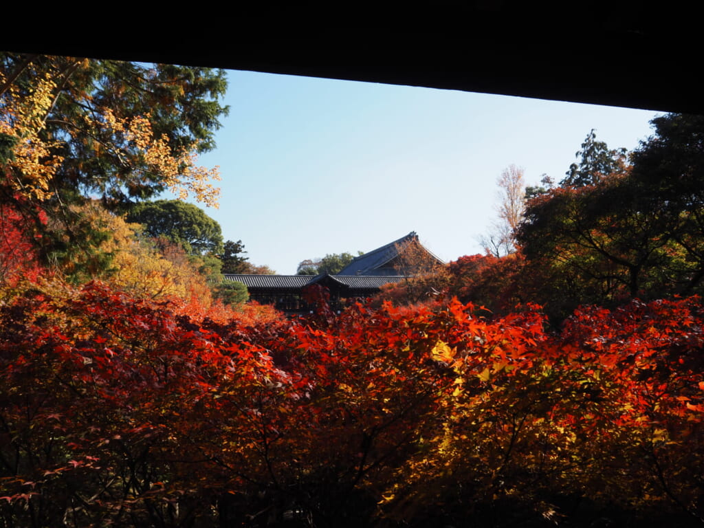 臥雲橋から見る通天橋の紅葉