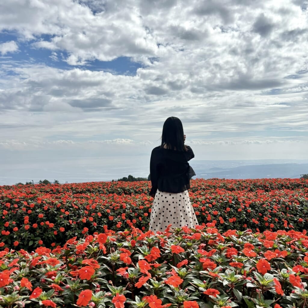 滋賀県の琵琶湖テラスにあるフォトスポット