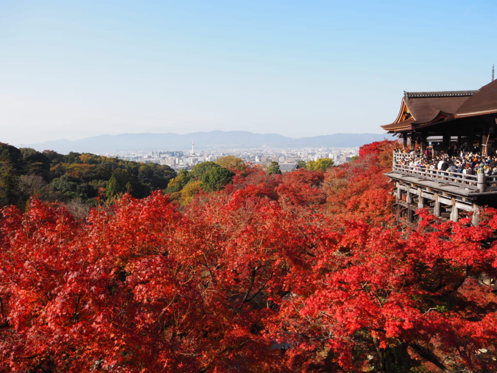 清水寺の奥の院から見た紅葉