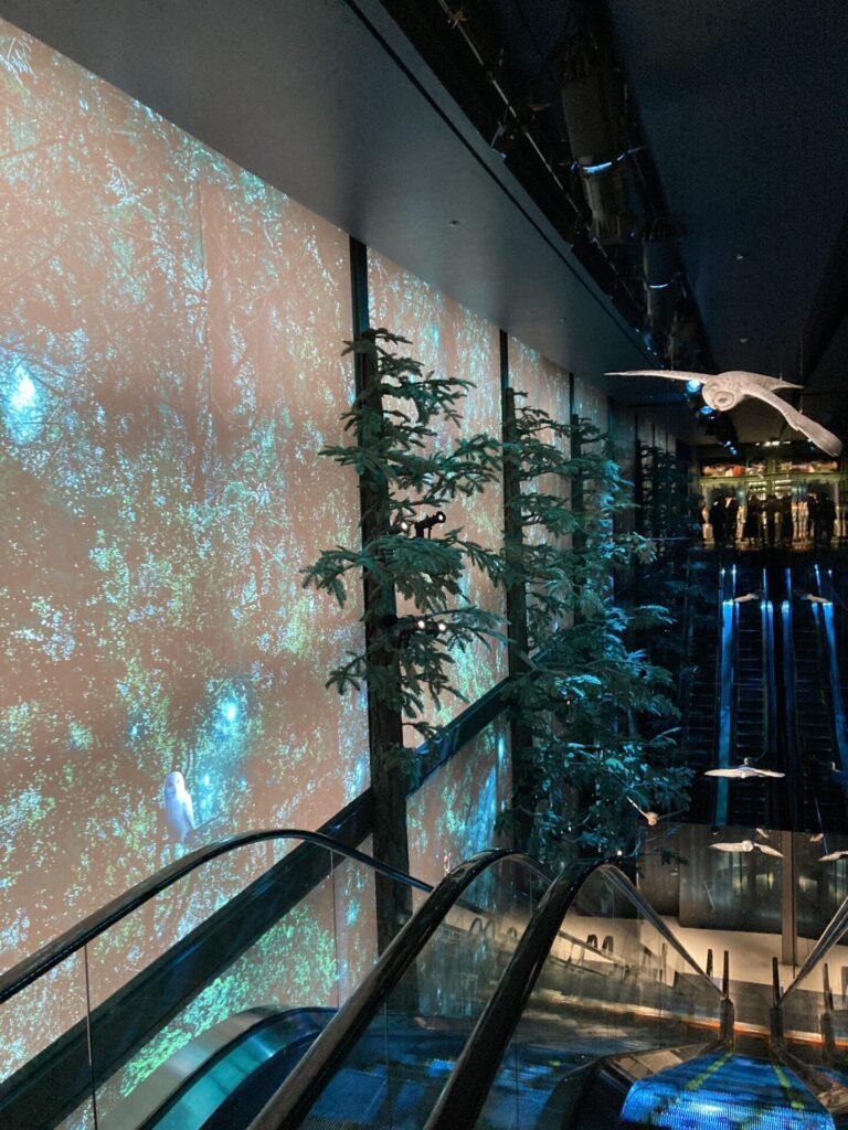 エレベーター禁じられた森全体